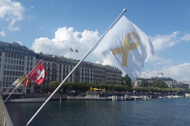 bandera llaç groc ginebra 2 foto spv bandera llaç groc ginebra 2 foto spv