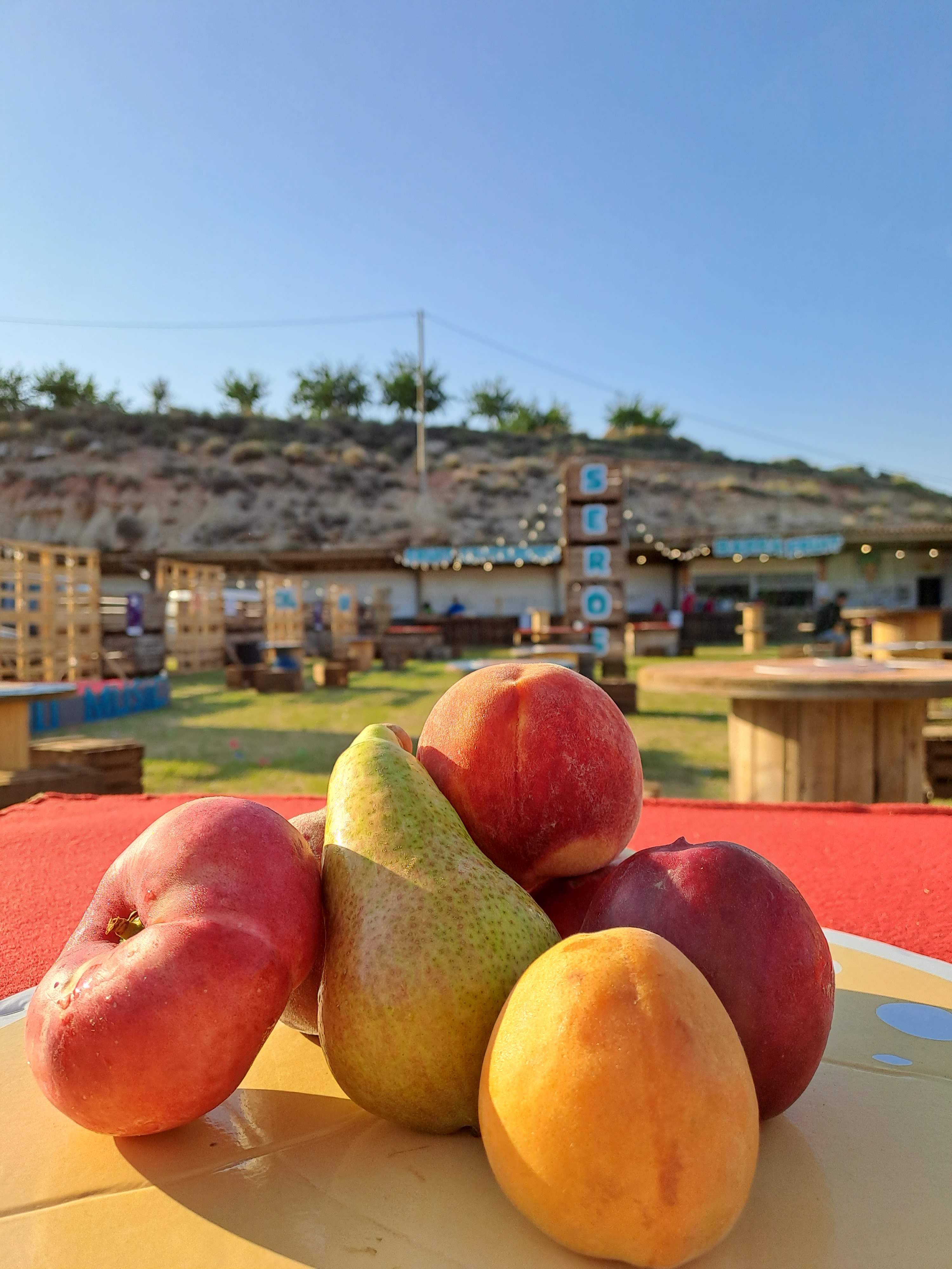 Fruit&Music Fest'25 a Seròs