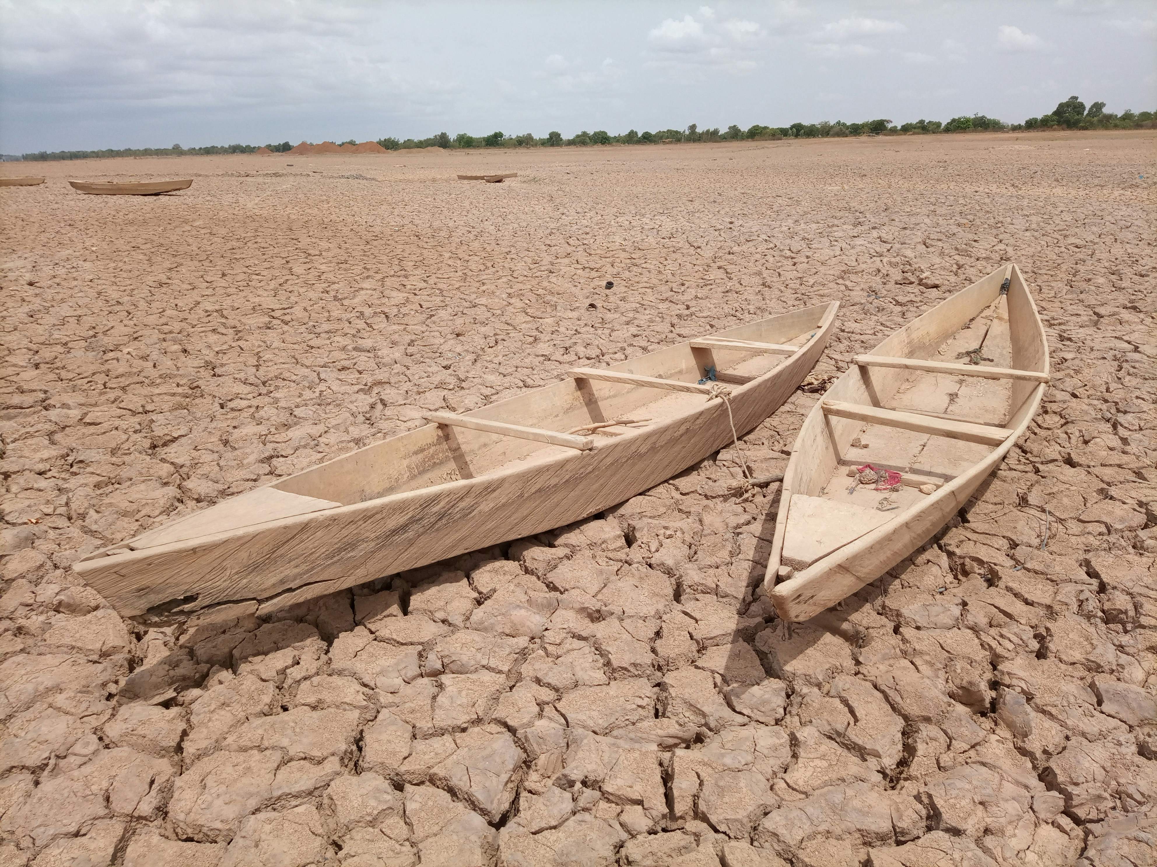 Primavera extrema: el maig de 2025, entre els més càlids i secs de la història