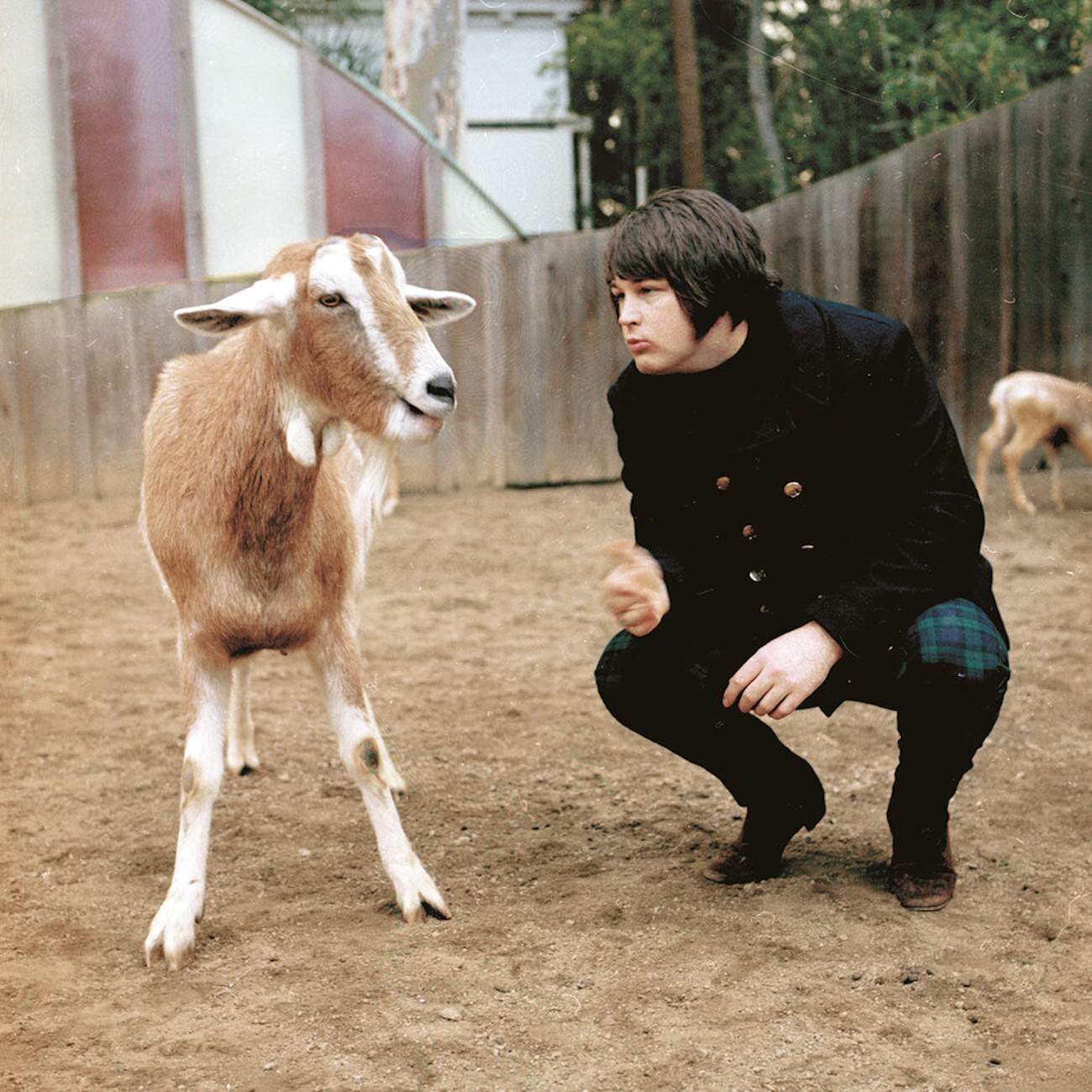 Brian+Wilson+Pet+Sounds+On+Knee