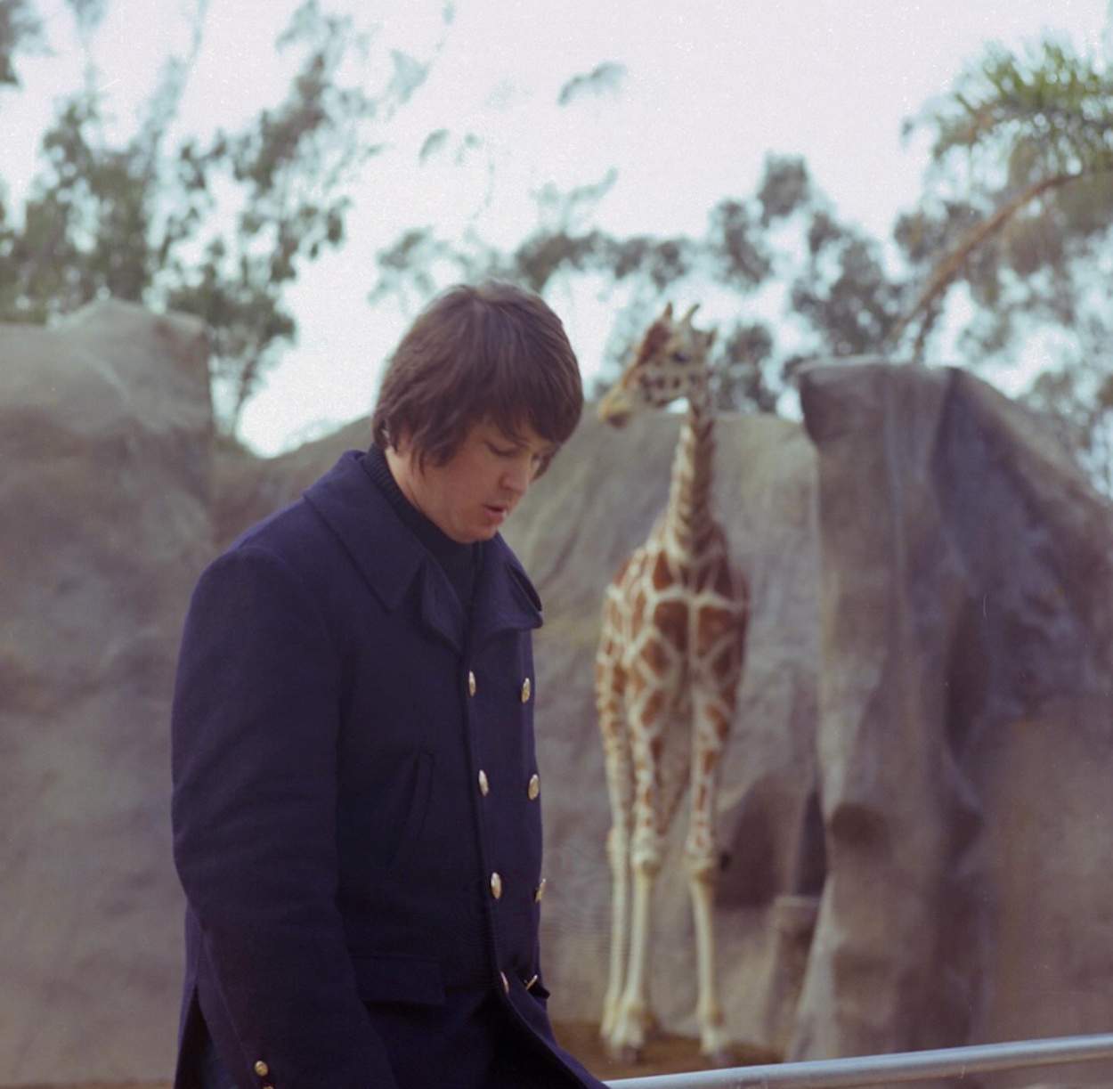 brian wilson zoo san diego brian wilson zoo san diego