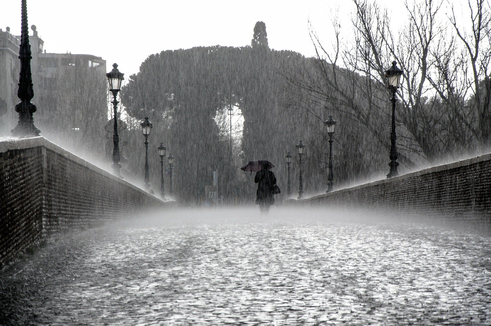 Cinco canciones para un día de lluvia