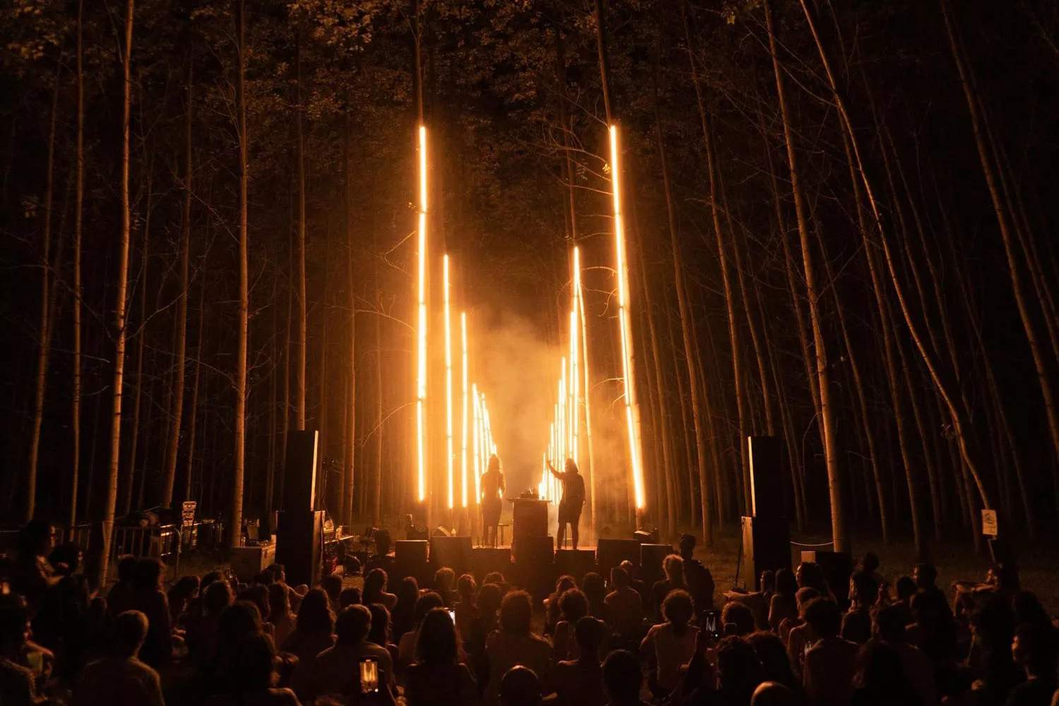 Rizomes 2025: un festival germinat en fulles de pollancres al cor del Ter