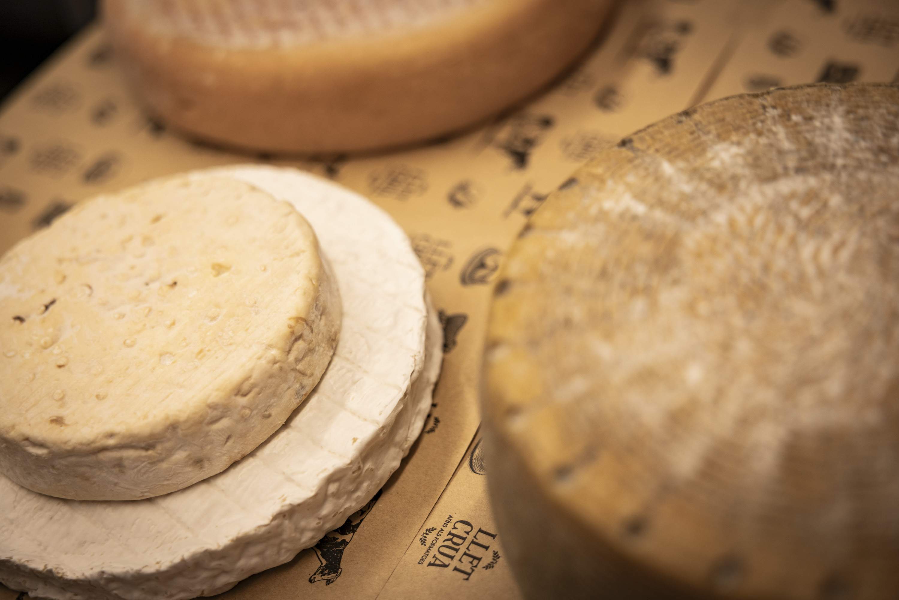 Com es fan els formatges vegetarians: el secret mediterrani que fa màgia