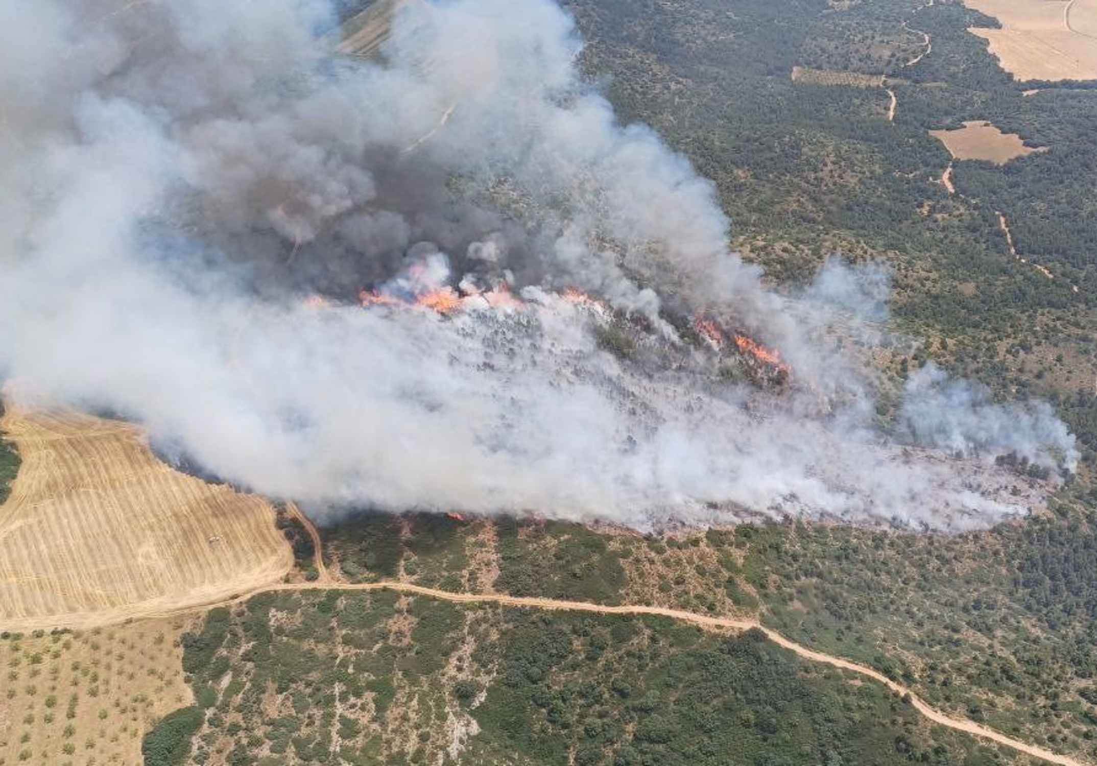incendi forestal os balaguer