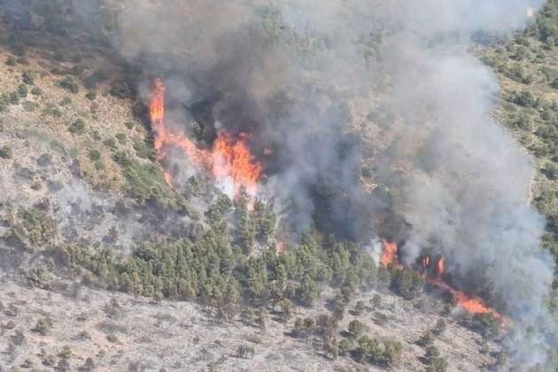 hueso|oso de balaguer incendio hueso|oso de balaguer incendio