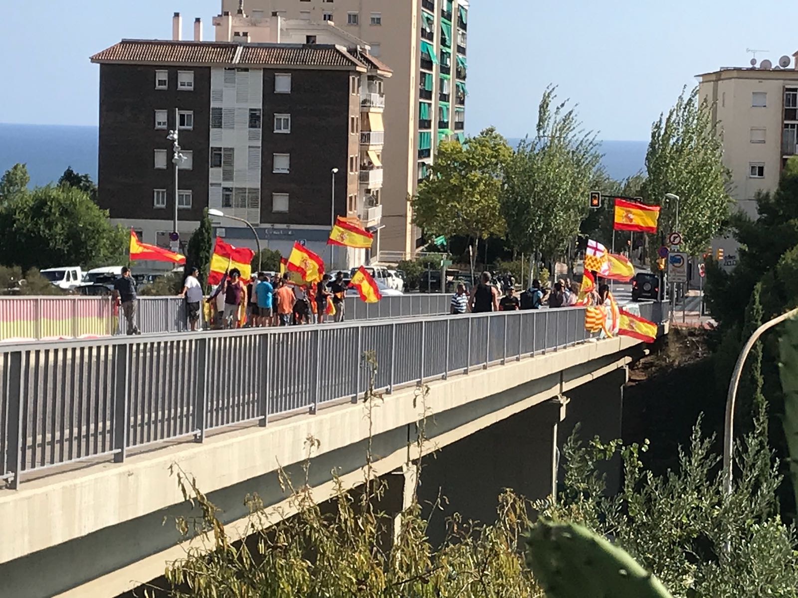 Los españolistas vuelven a Alella a arrancar lazos amarillos y esteladas