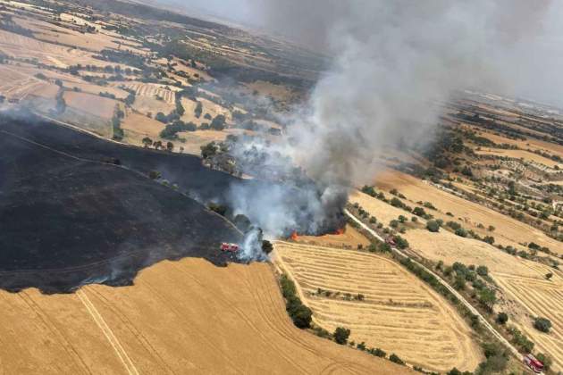 incendi camps granyena segarra incendi camps granyena segarra