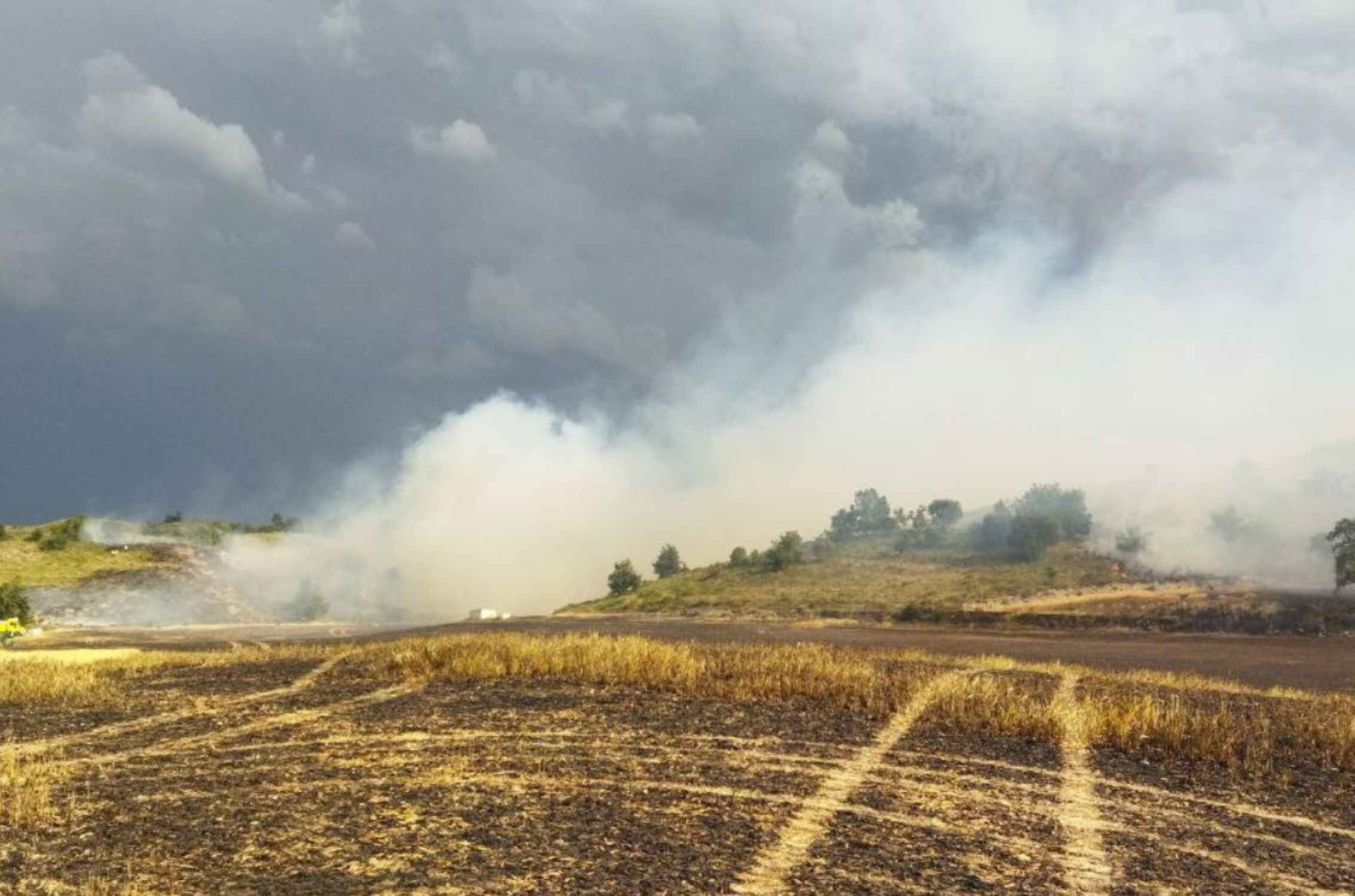 Un incendi forestal a Plandogau originat en una línia d'alta tensió obliga a tallar dues carreteres
