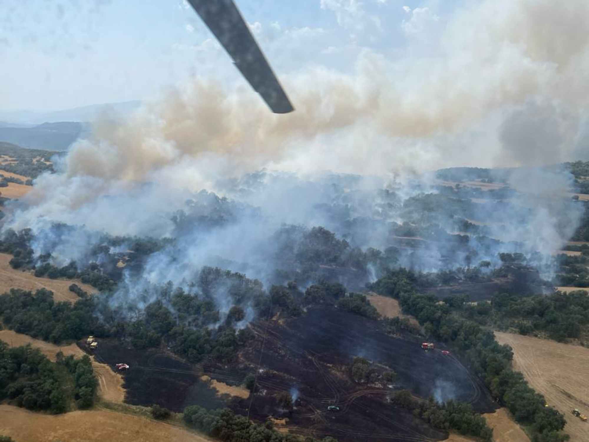 L'onada de calor històrica fa activar el Pla Alfa per risc d'incendis a gran part de Catalunya
