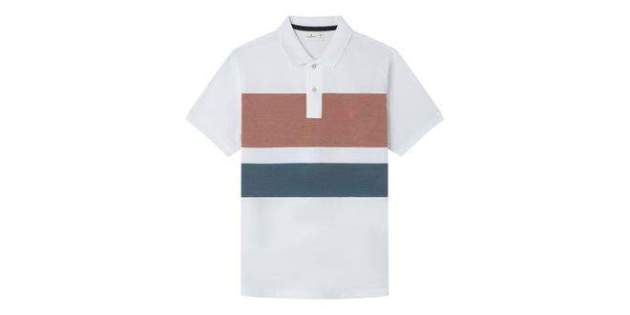 SPRINGFIELD Polo Hombre SPRINGFIELD Polo Hombre