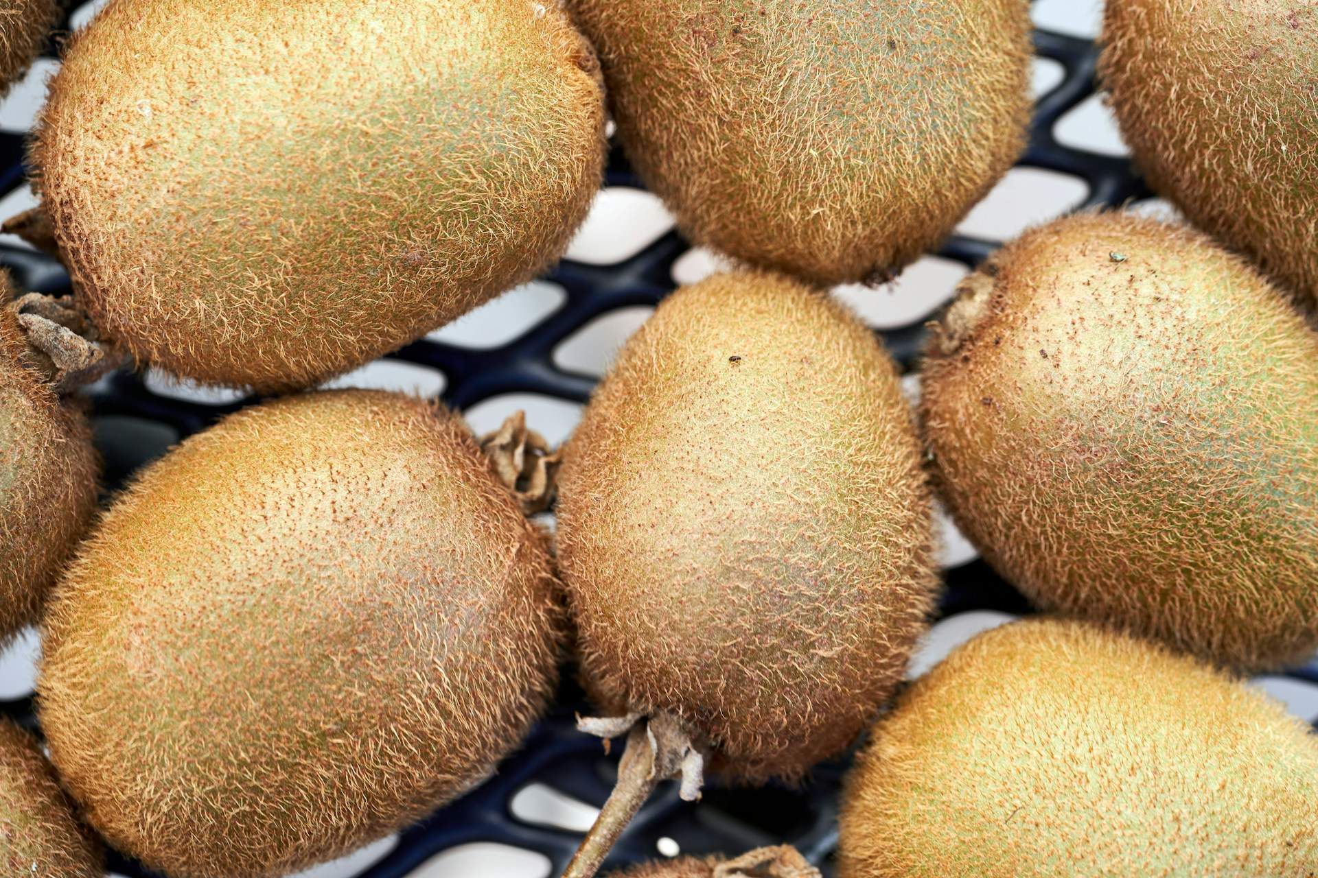 El truc dels fruiters perquè els kiwis madurin ràpid i siguin perfectes