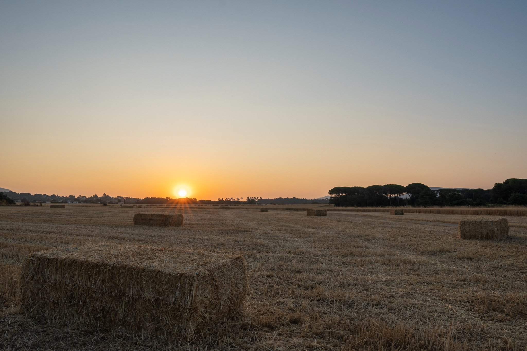 Arriba una onada de calor a Catalunya: les temperatures sufocants no donaran treva fins al juliol