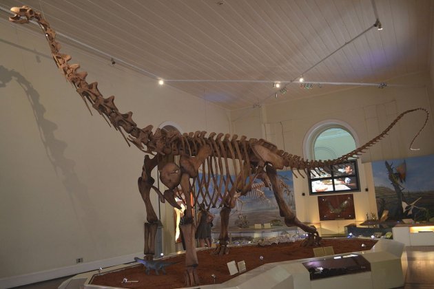MaxakalisaurusTopai Museo Nacional Brasil Geopotinga Wikipedia