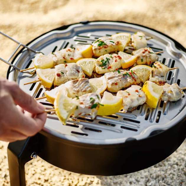 Barbacoa de carbón