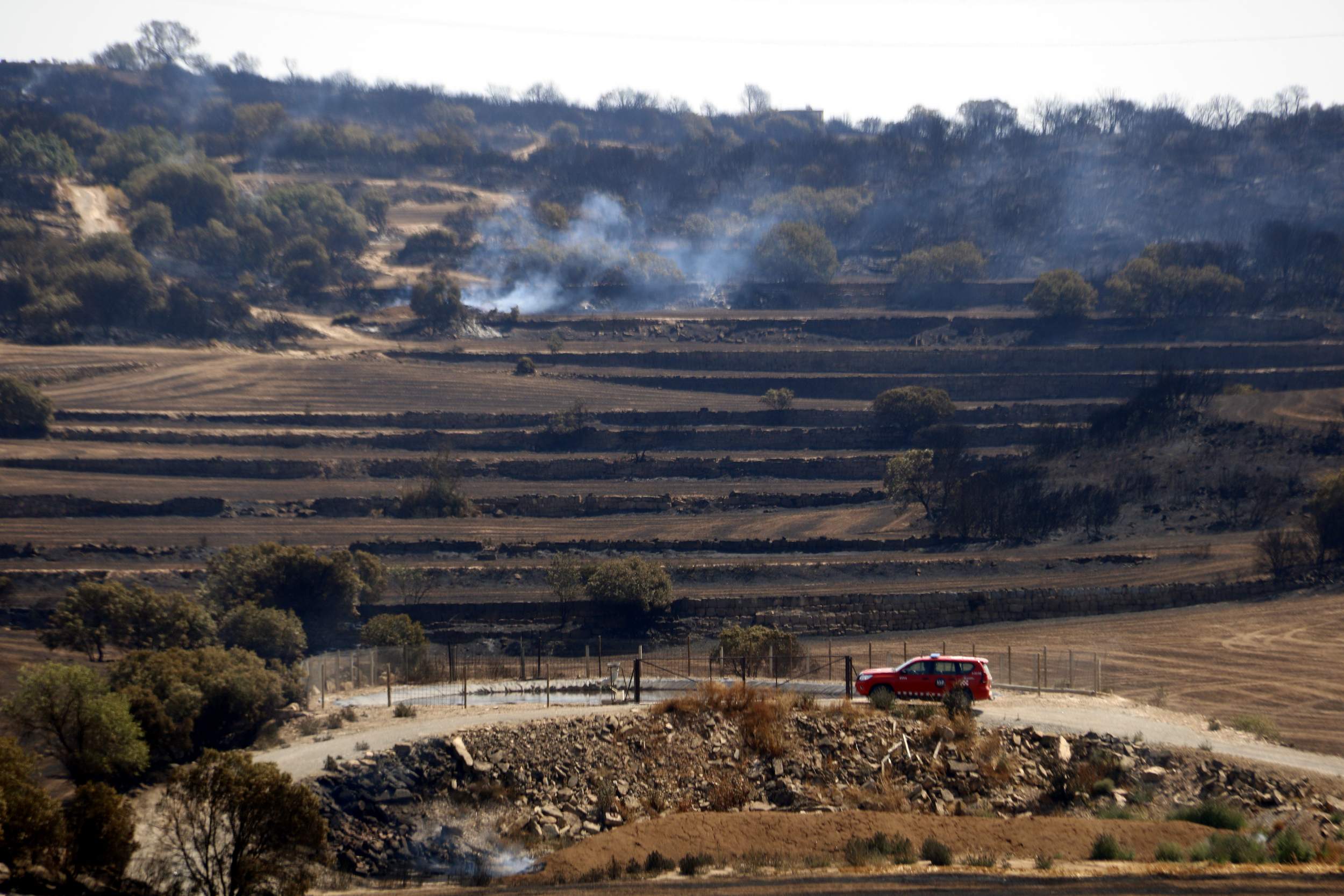 Estabilitzat l’incendi de la Segarra, especialment virulent i ràpid, que ha cremat 6.500 hectàrees