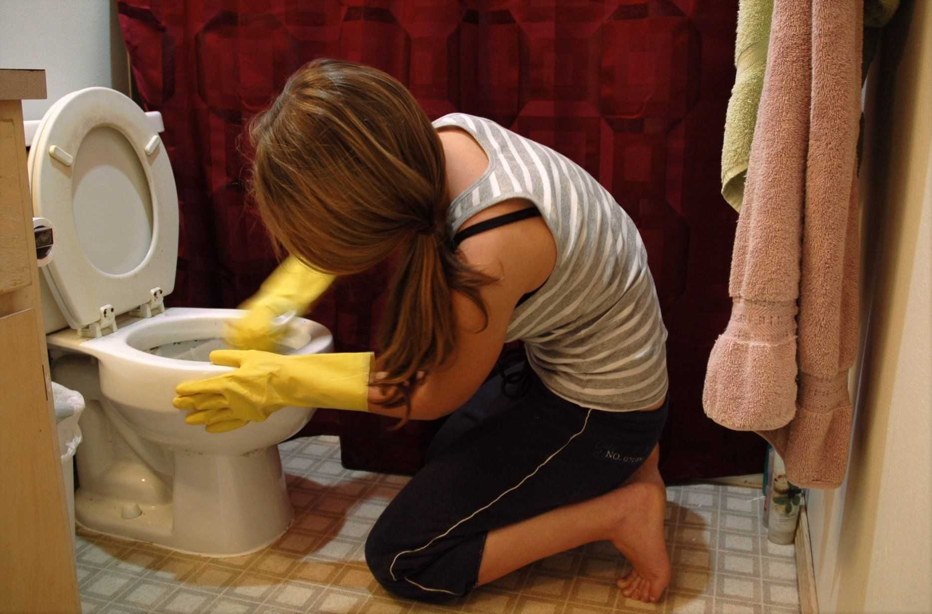 Un manual para mujeres de la limpieza