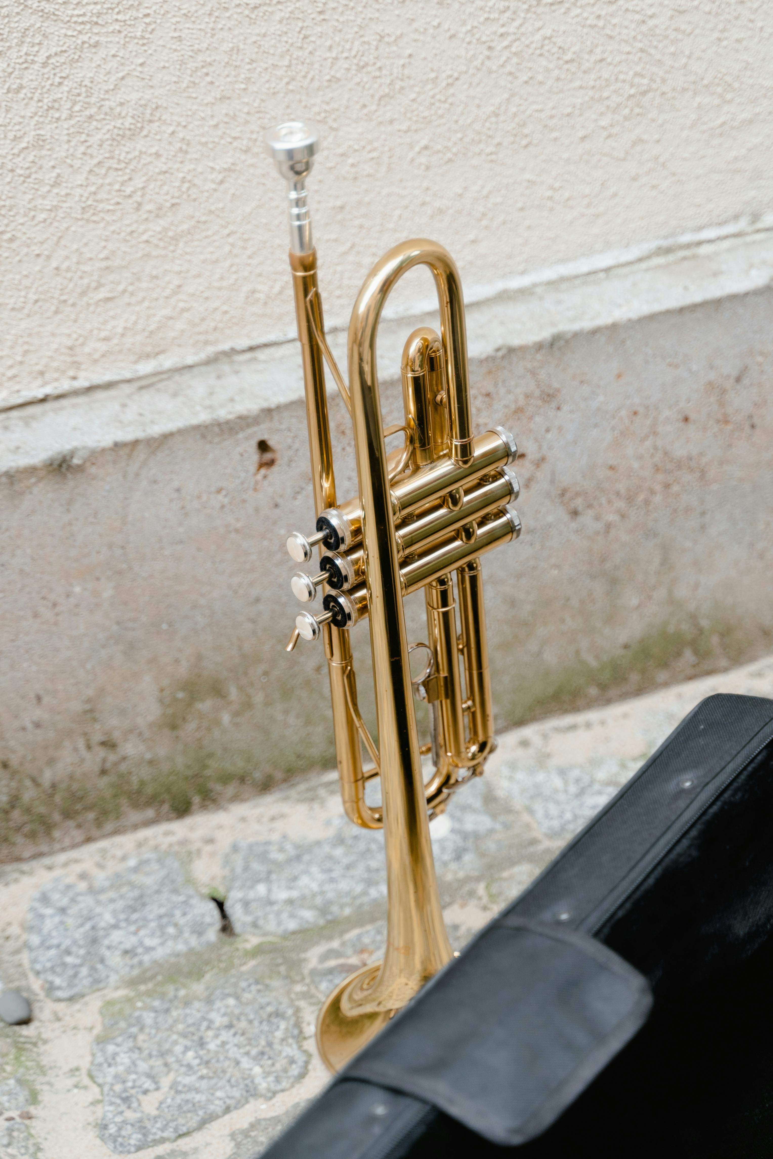 Programació professional El Centru 2024: “Alba Armengou Trio” Programació professional El Centru 2024: “Alba Armengou Trio”
