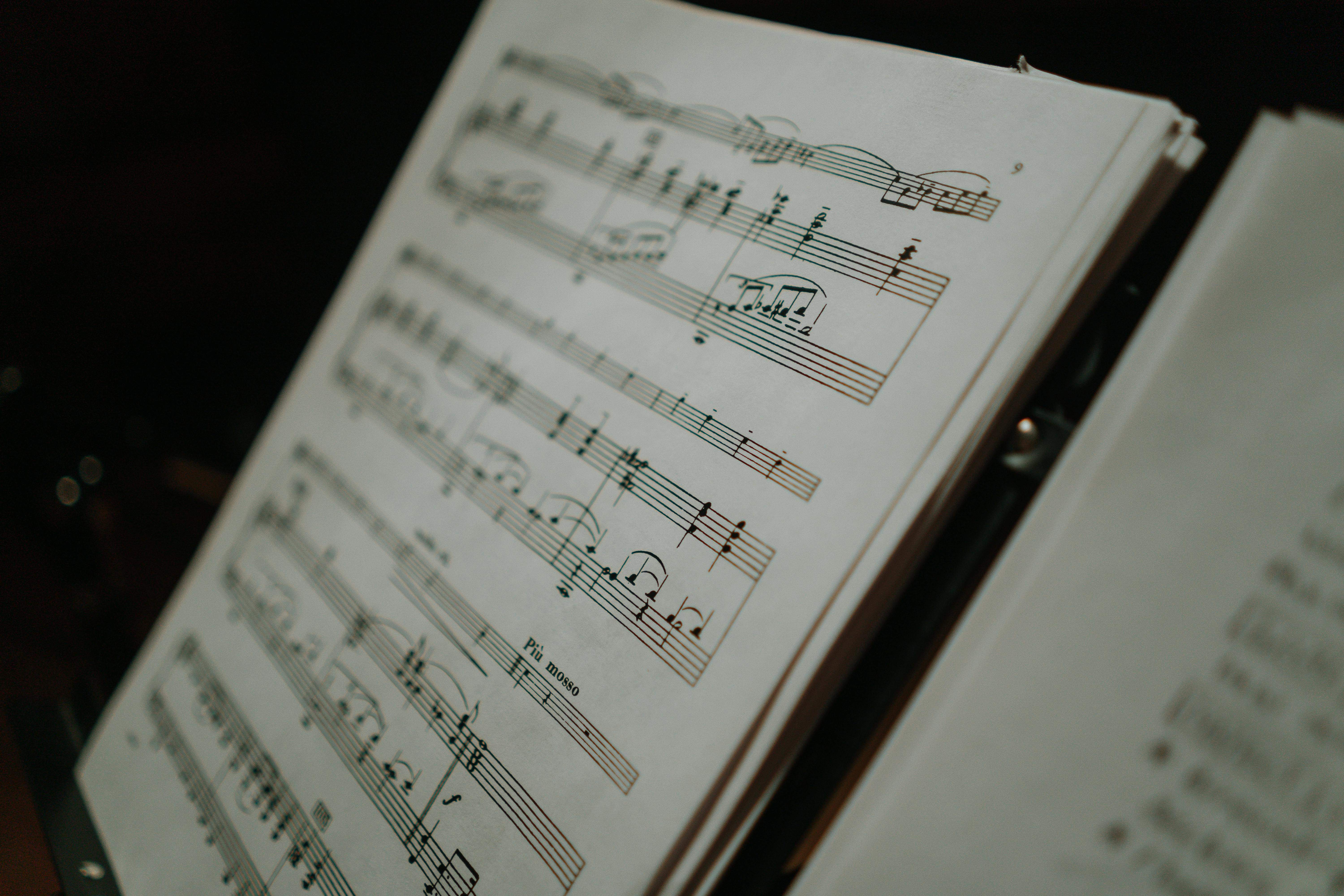 Divendres musicals a Maçanet de Cabrenys