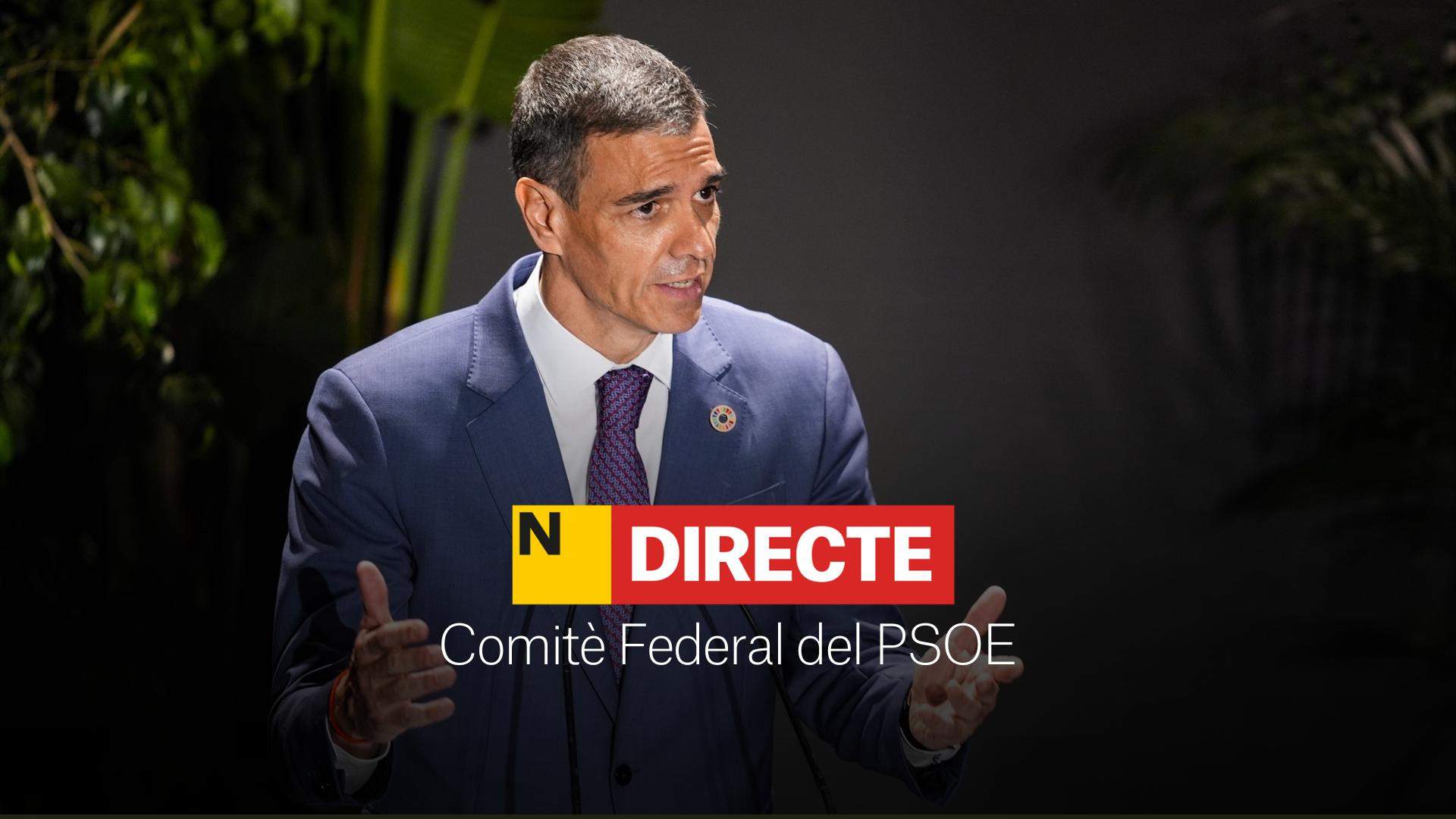 Comitè federal del PSOE, DIRECTE | Sánchez anuncia els canvis a l'Executiva pel cas Cerdán
