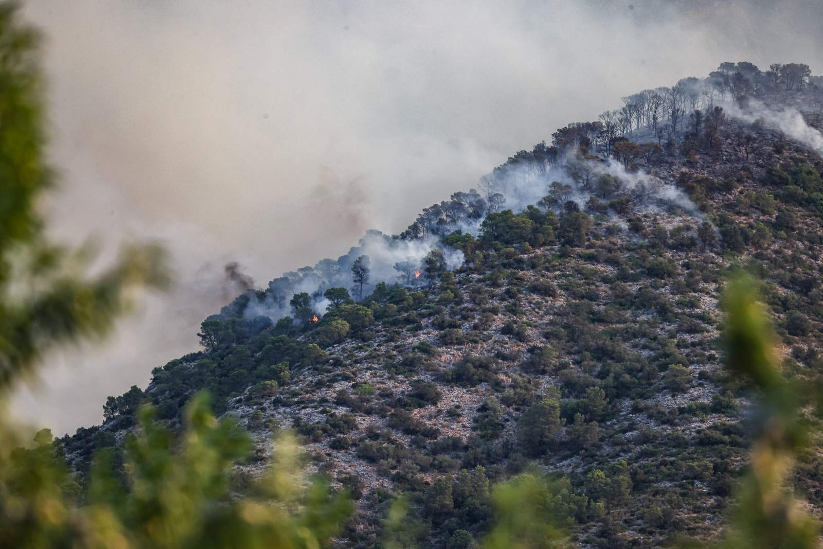 Els esforços dels Bombers per evitar que l'incendi dels Ports salti l'Ebre i s'escampi cap a la serra de Cardó