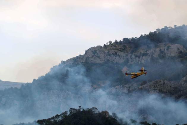 incendio forestal anna ferras acn incendio forestal anna ferras acn