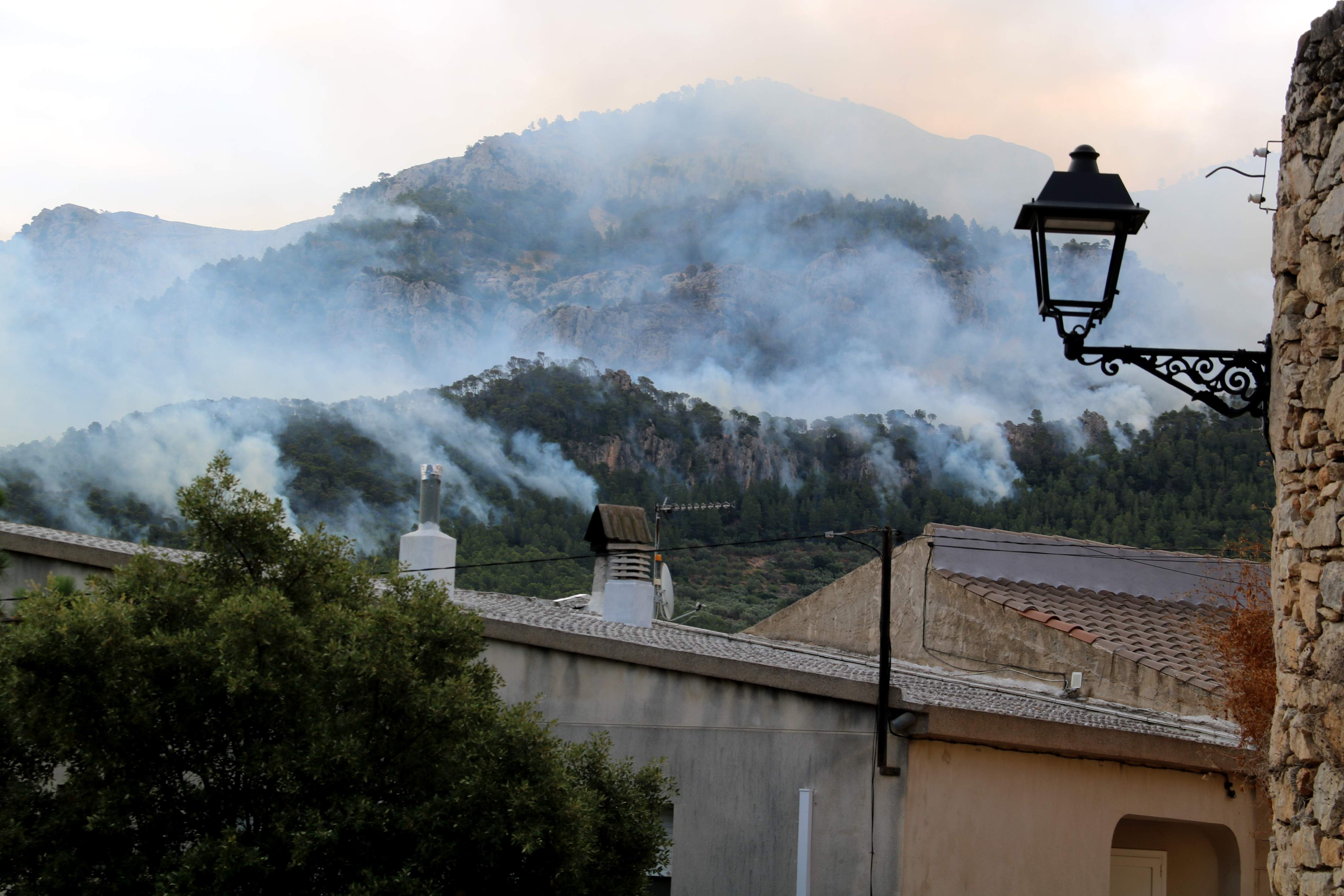 Què crema l'incendi dels Ports? Fauna variada, arbres monumentals i art rupestre