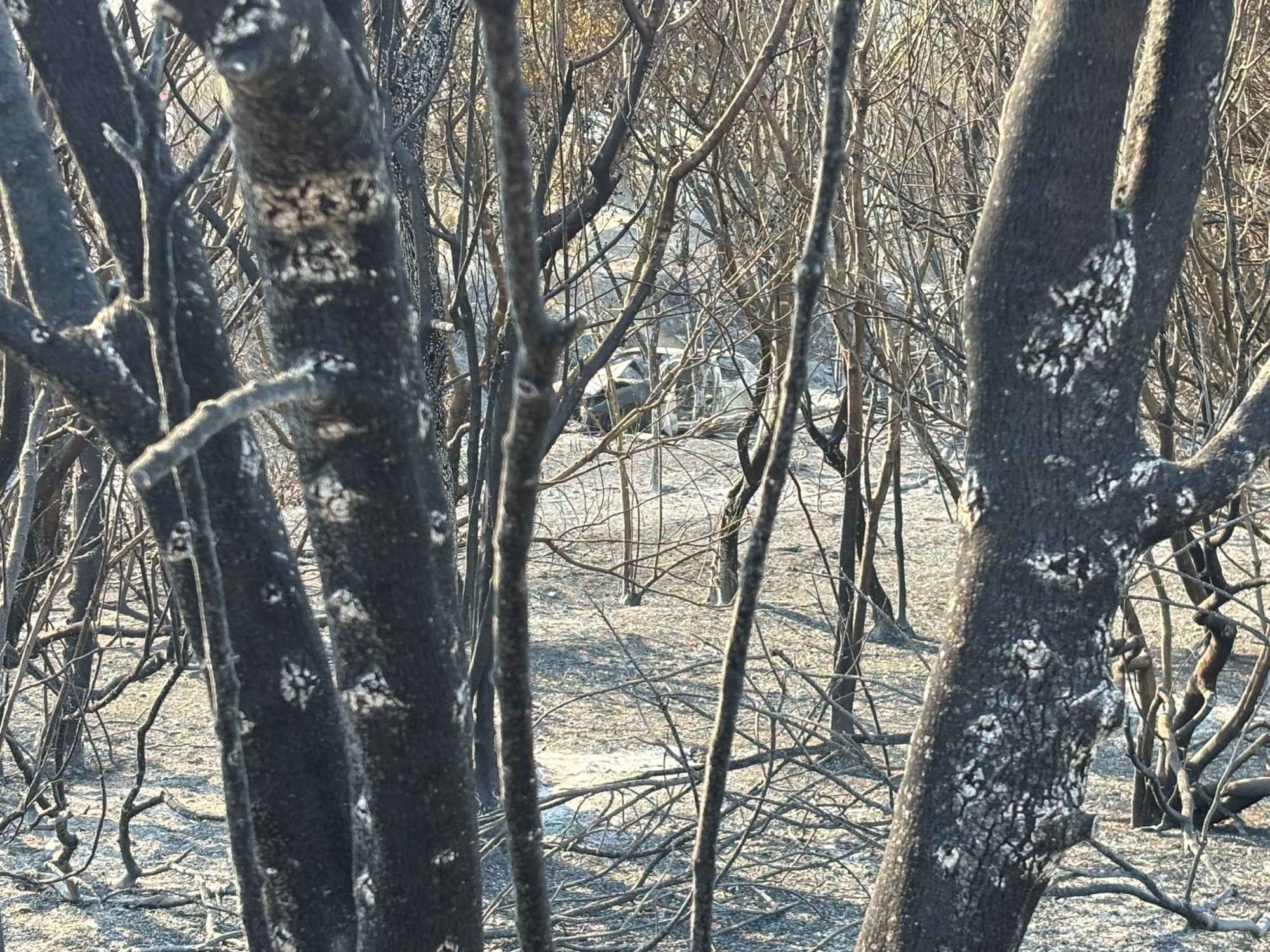 Dominado el incendio de Els Ports: los Bombers contienen las llamas y ven cerca su estabilización