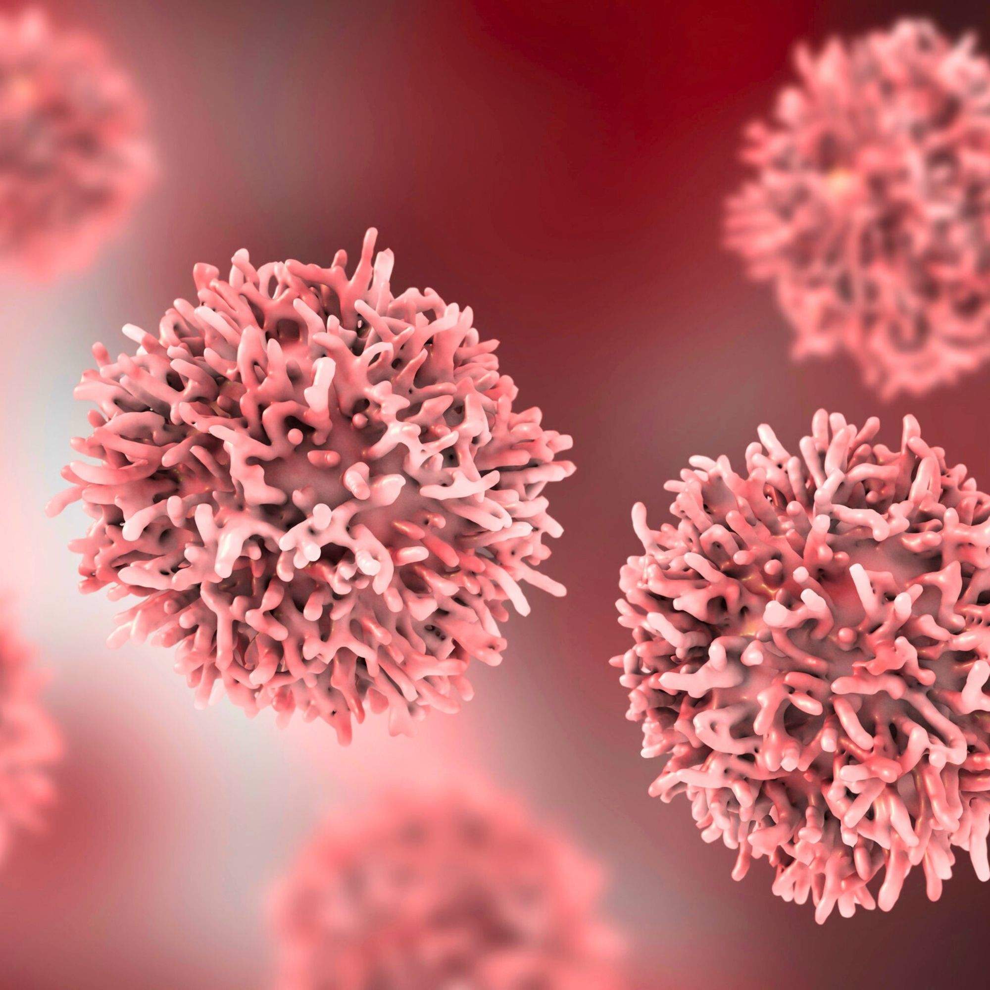 Cèl·lules cancerose