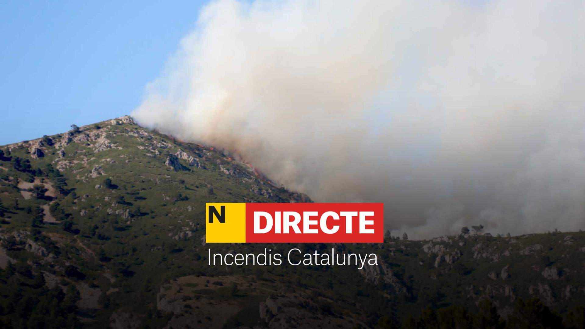 Incendi al Parc Natural dels Ports, DIRECTE | Última hora del foc de Paüls (Baix Ebre)