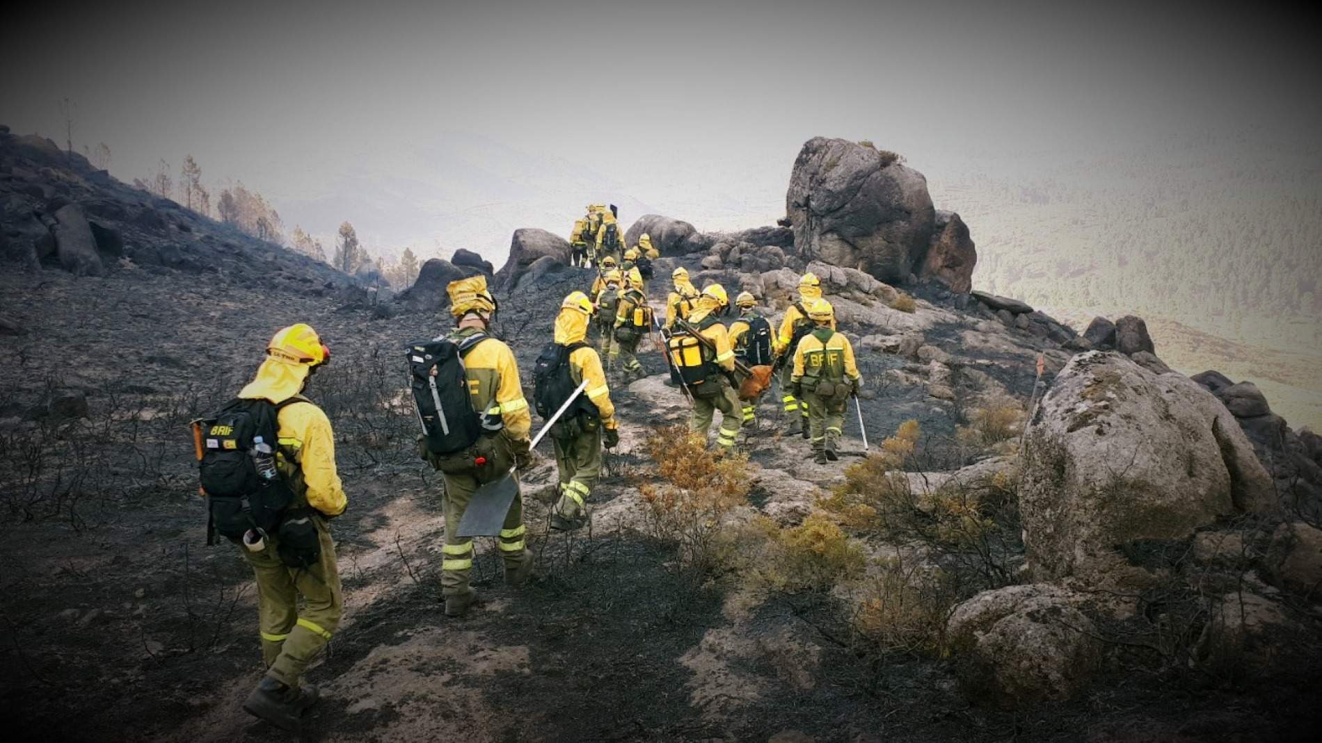 Incendi Paüls
