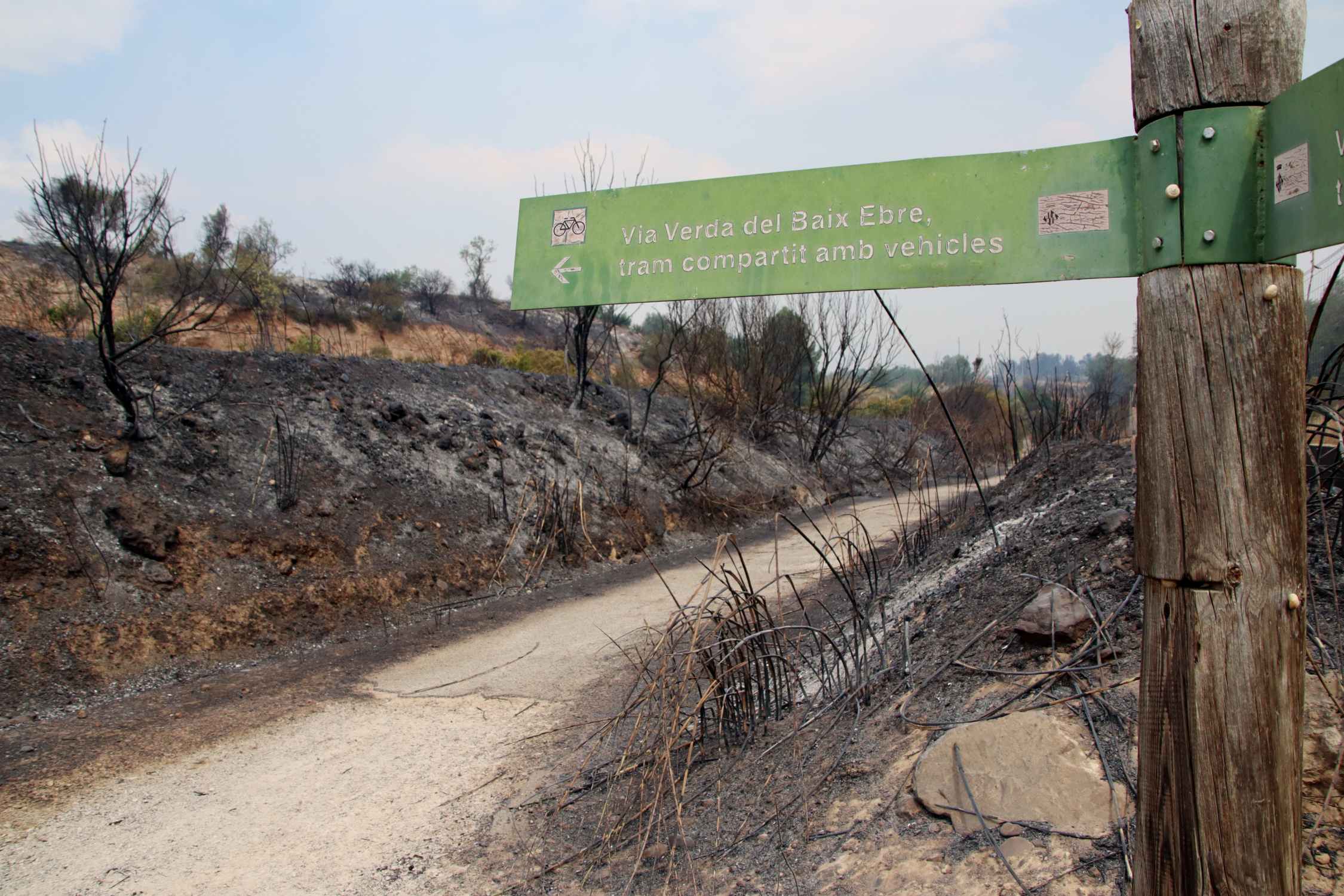 incendi forestal ebre eloi tost acn