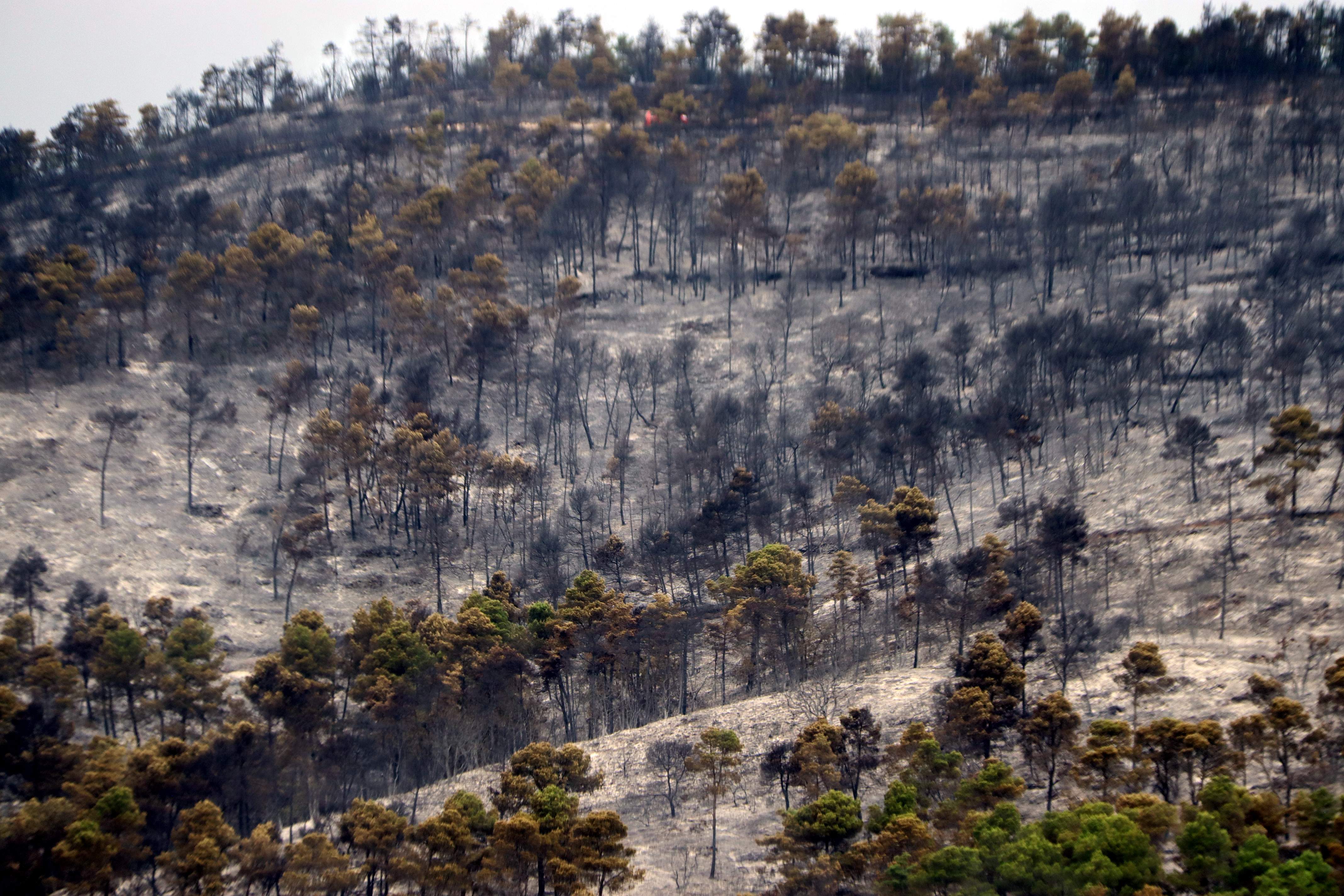 Controlat l'incendi de Paüls després de tres dies cremant superfície forestal i agrícola