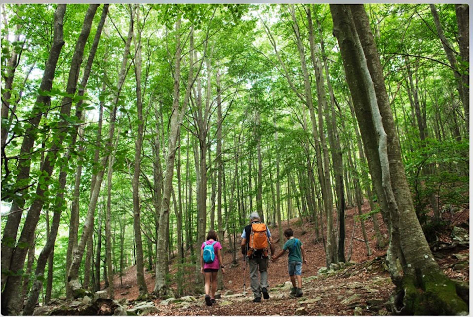 Gaudeix d’un estiu actiu a la natura per tornar a connectar, sense anar més lluny