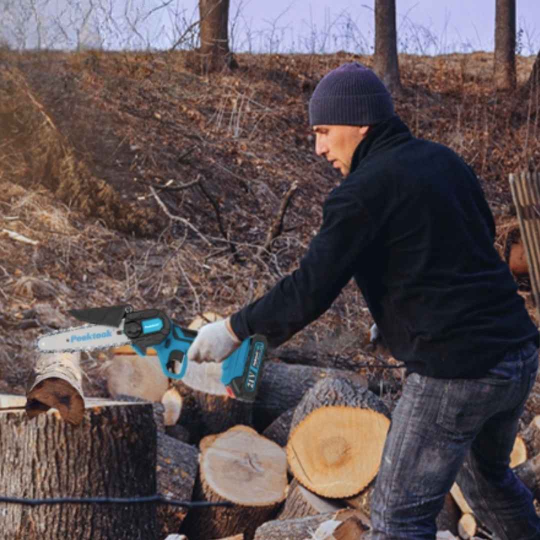 6 polzades i molta força: la miniserradora elèctrica per podar arbres sense esforç