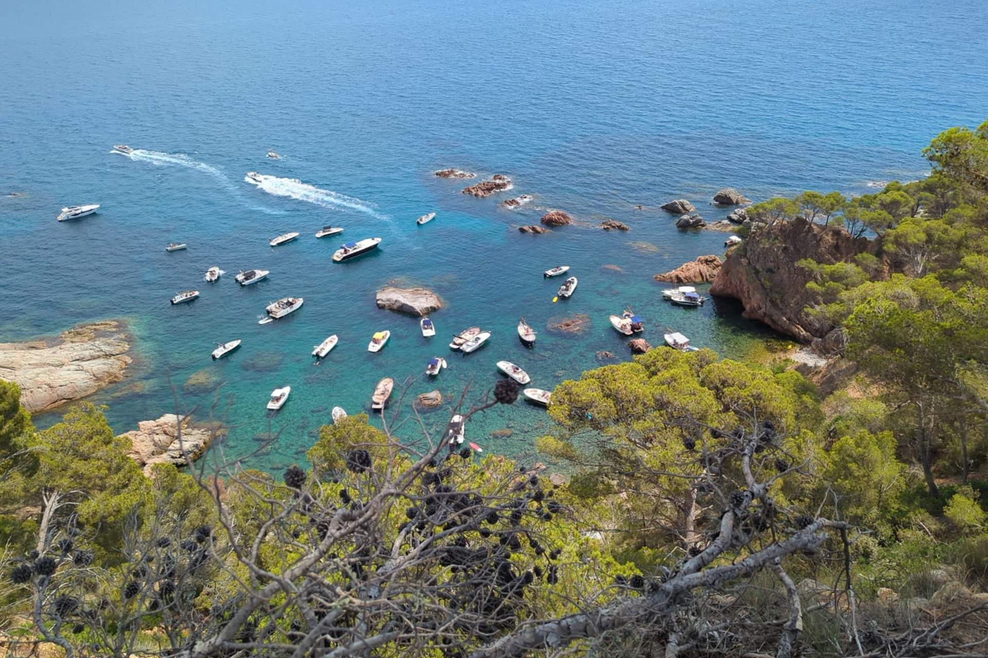 Alerta por el robo de boyas de varias playas de la Costa Brava tres días después de instalarlas