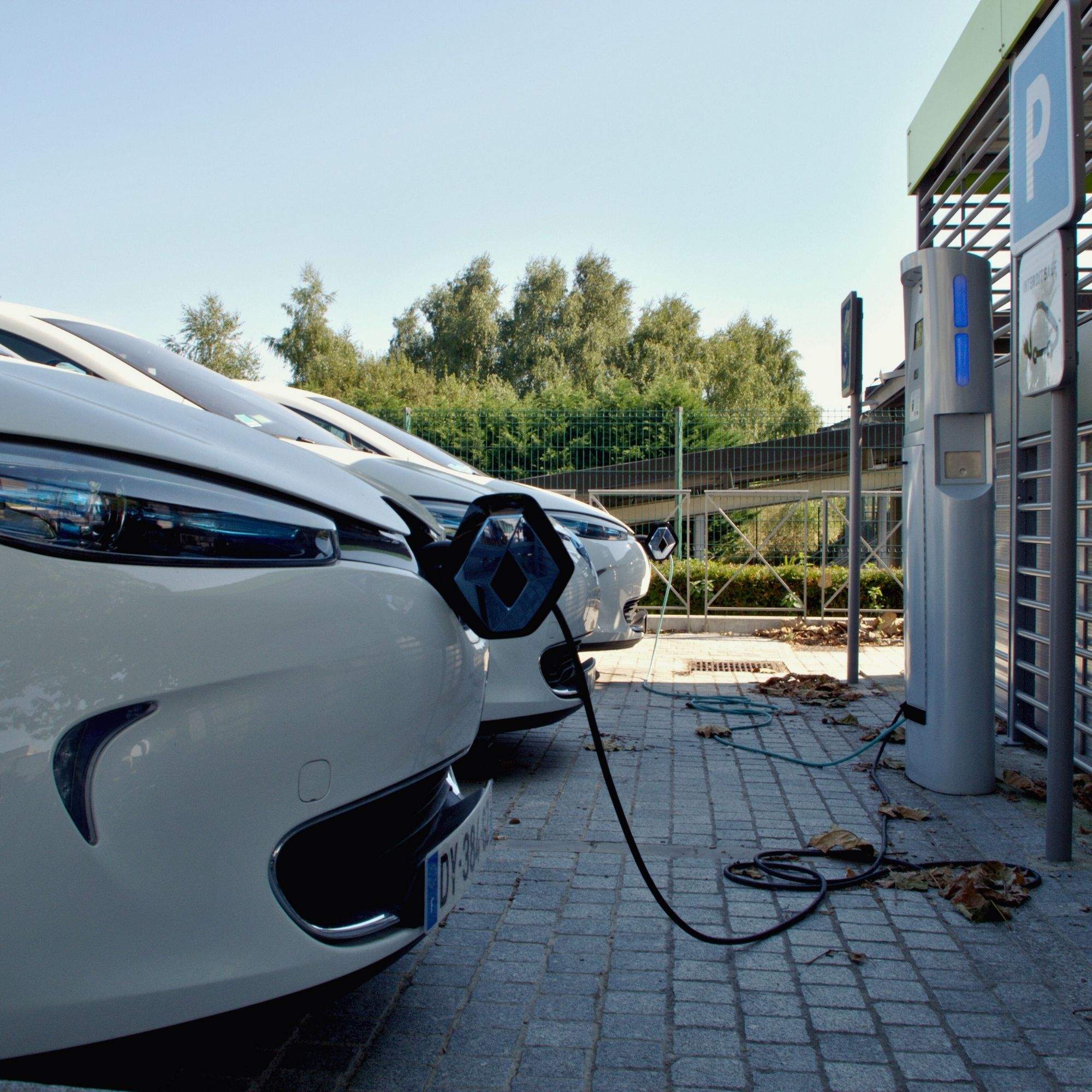 Trump ataca a Elon Musk y a su industria de vehículos eléctricos: el presidente quiere quitar estos subsidios