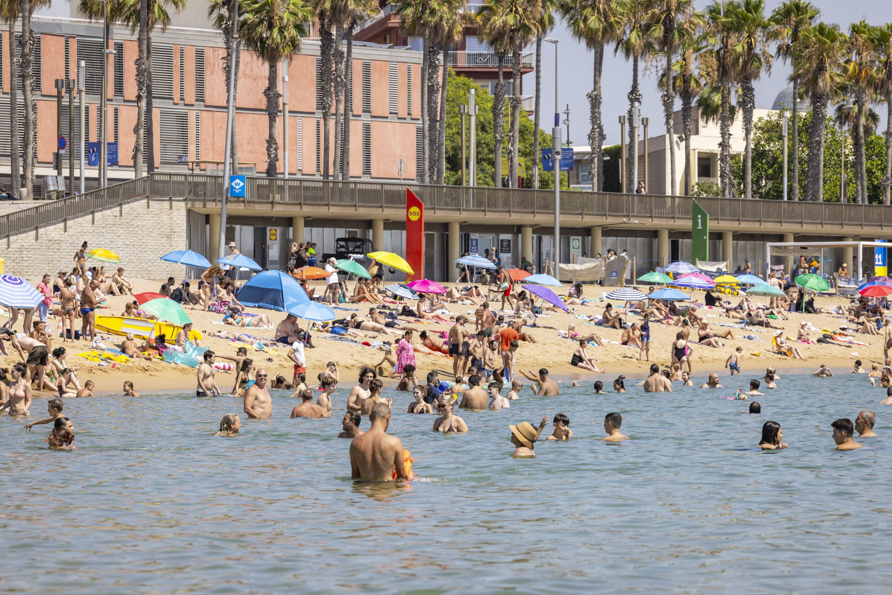 Recurs platges, platja, calor / Foto: Carlos Baglietto