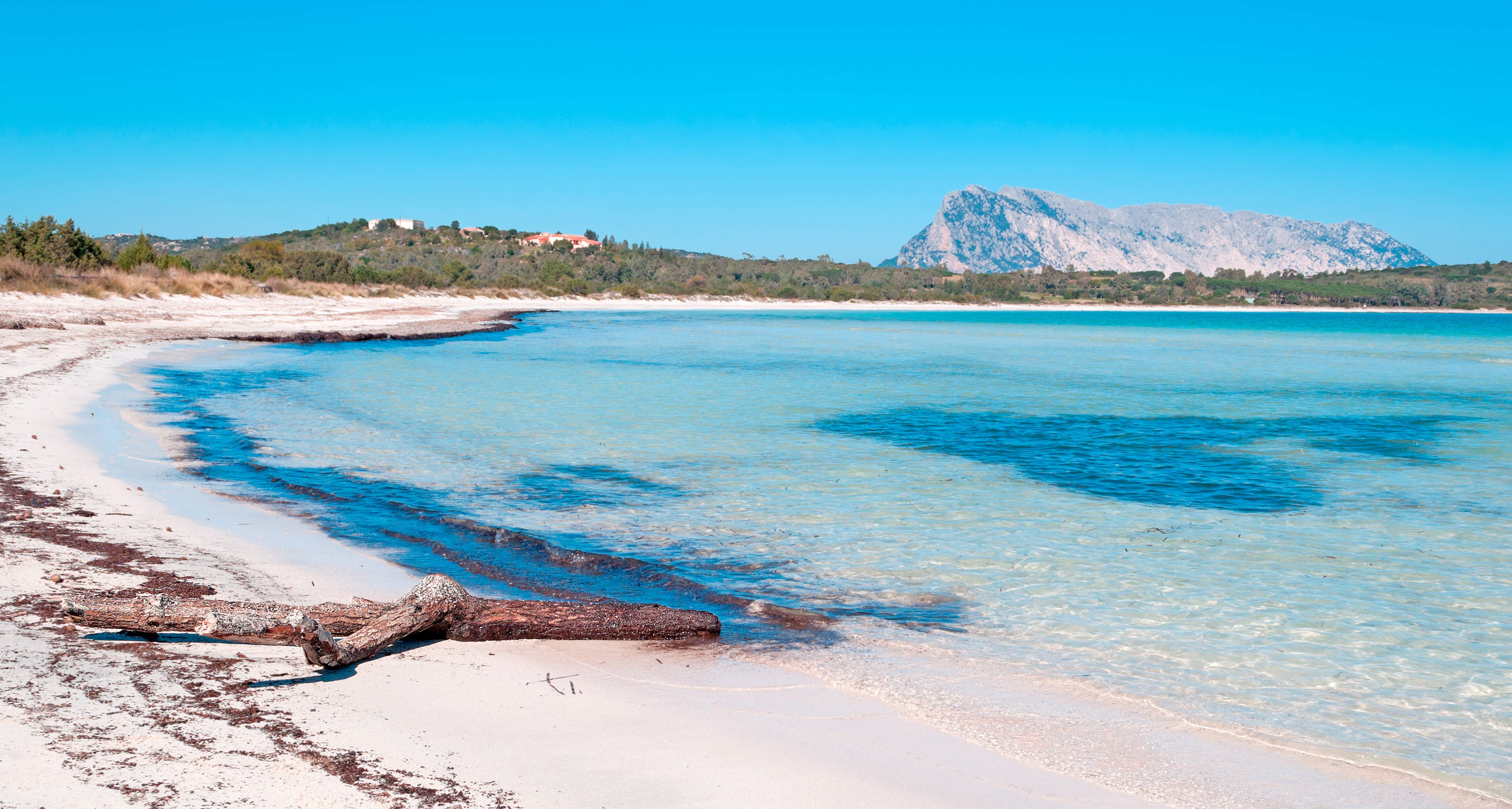 Playa Sardenya, Cala Brandinchi