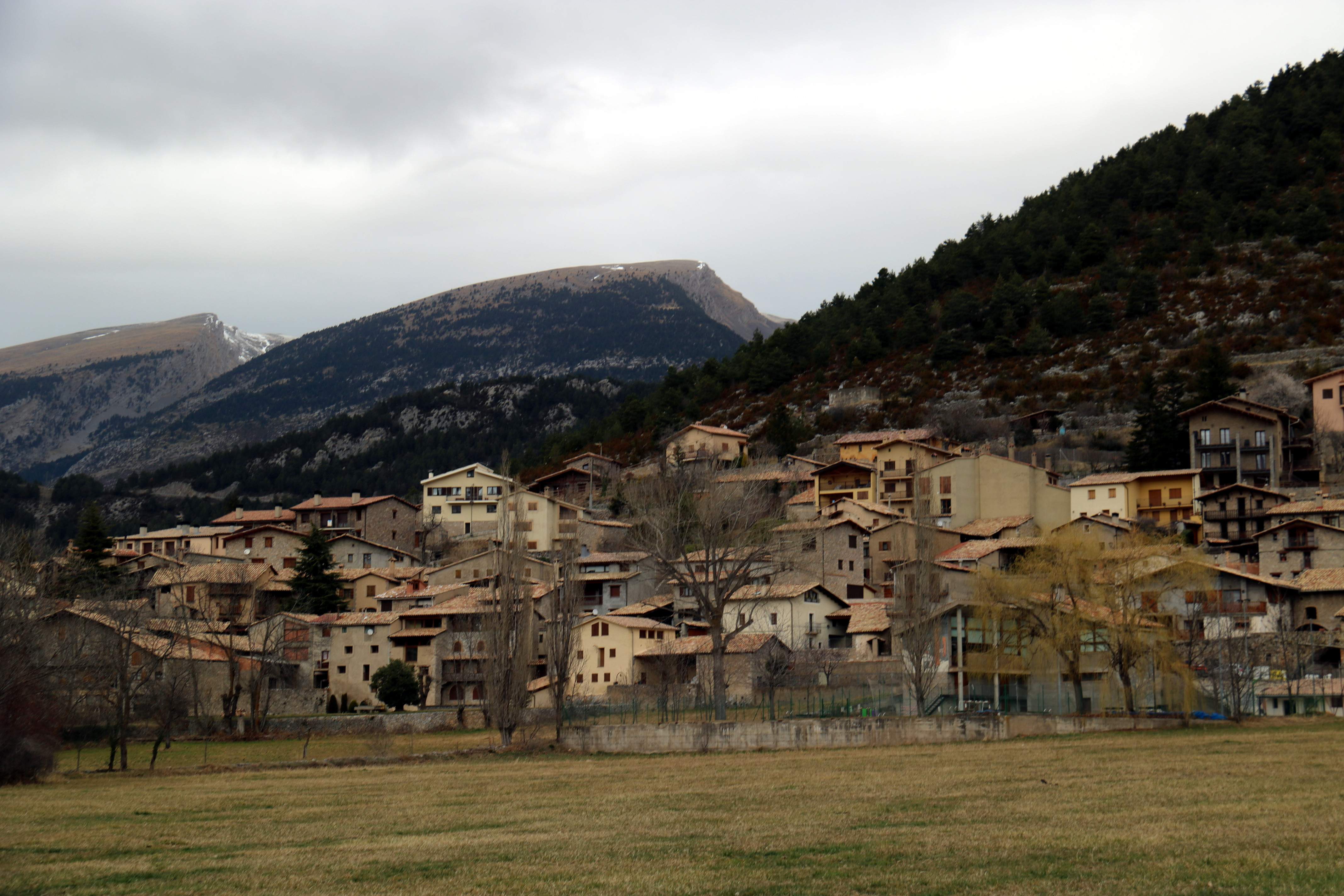 Els municipis rurals ja tenen un Estatut llargament reivindicat per lluitar contra el despoblament