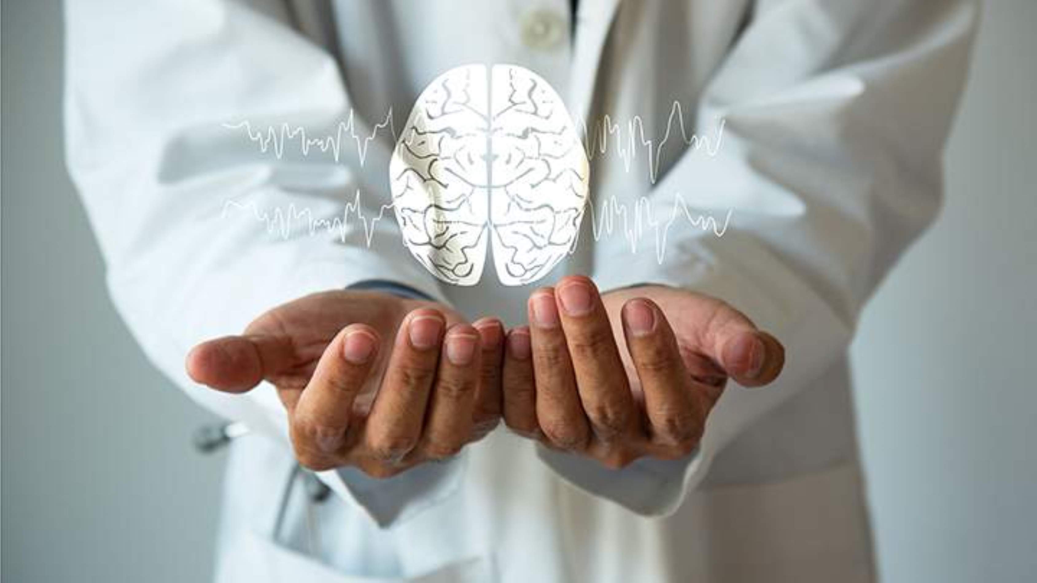 Un estudi de la UB identifica en humans el mecanisme neurofisiològic clau en la formació de records