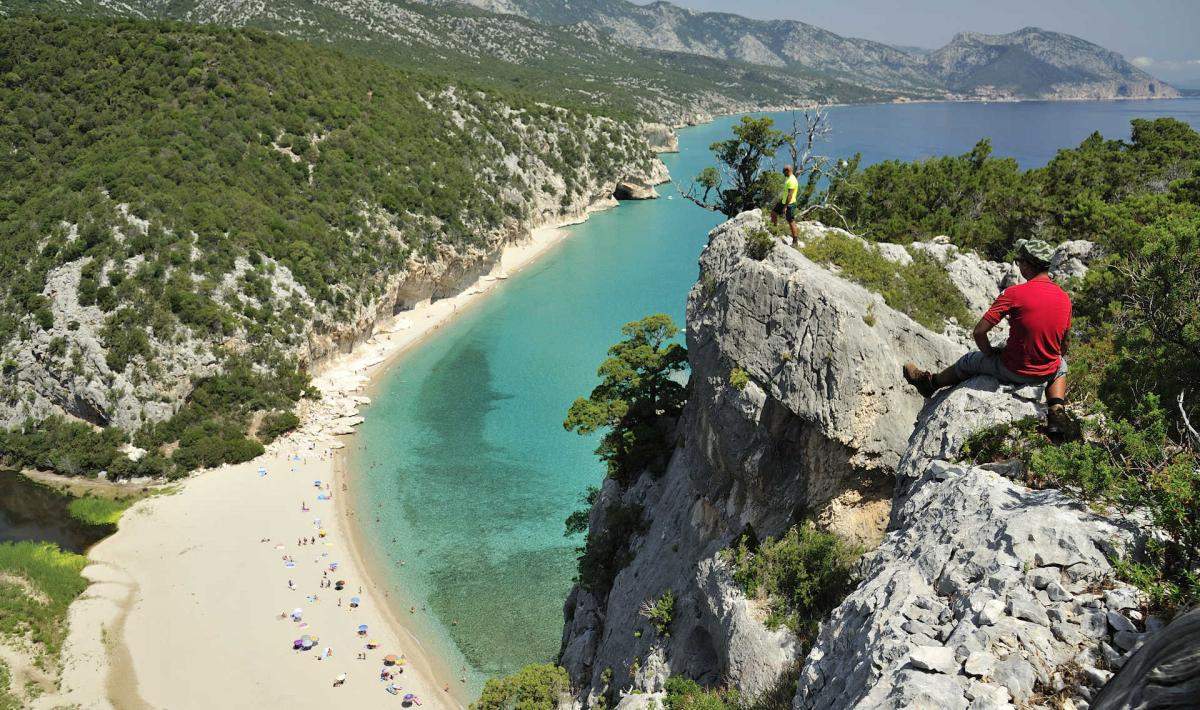 Cala luna, serdenya