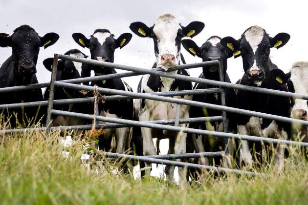 9. agricultura sostenible