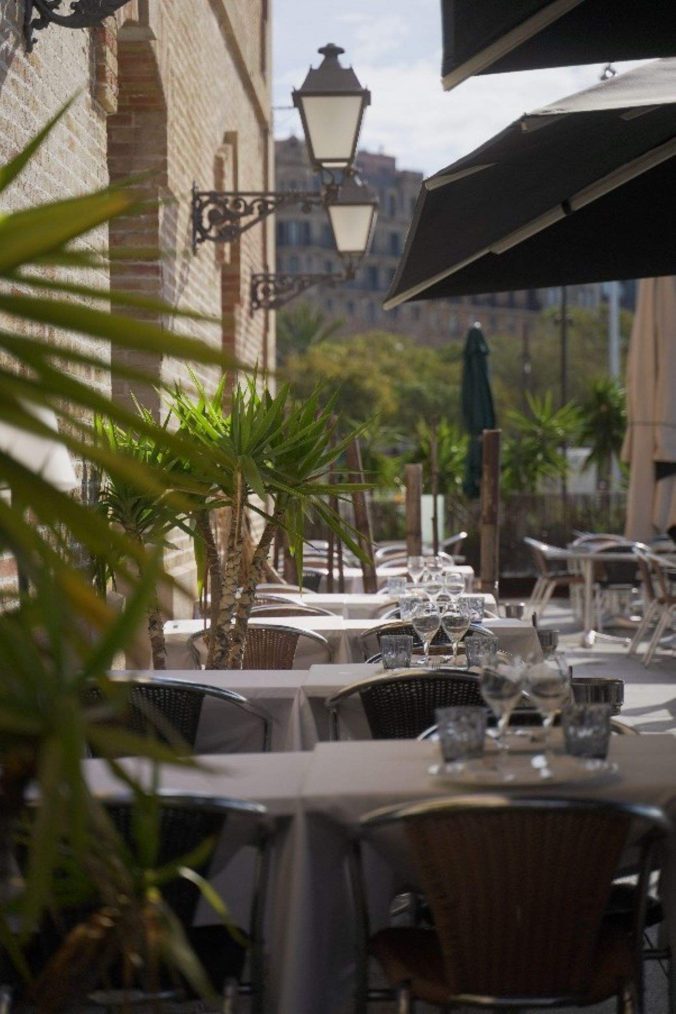 El restaurant de Barcelona a primera línia de mar amb bons arrossos i sense turistes