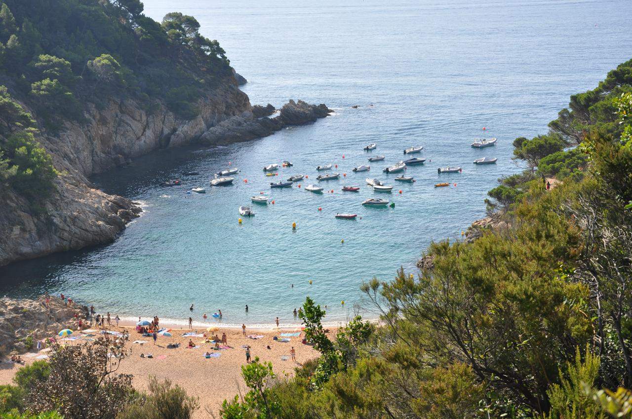El Càmping Cala Pola assumeix la gestió del camp de boies per protegir la posidònia