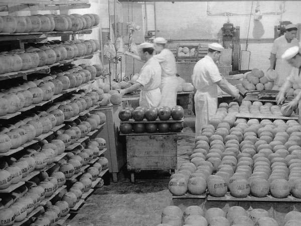 Imatge de l'arxiu de la cooperativa Cadí, amb treballadors elaborant el formatge Imatge de l'arxiu de la cooperativa Cadí, amb treballadors elaborant el formatge