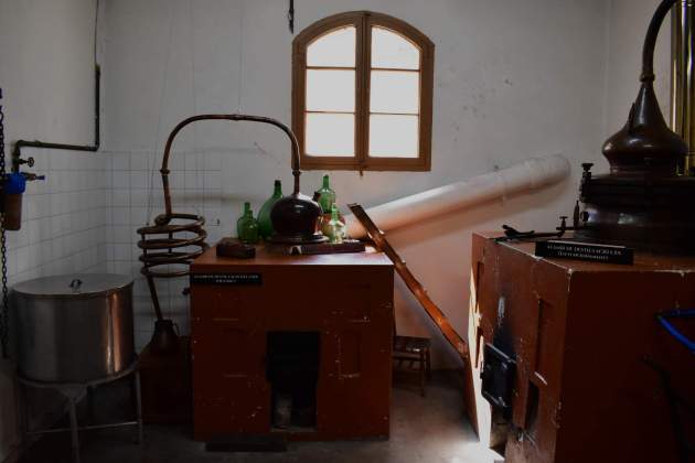 Reportatge Ratafia 8 / Foto: Oriol Foix