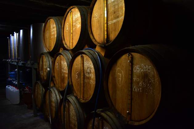 Reportatge Ratafia 10 / Foto: Oriol Foix