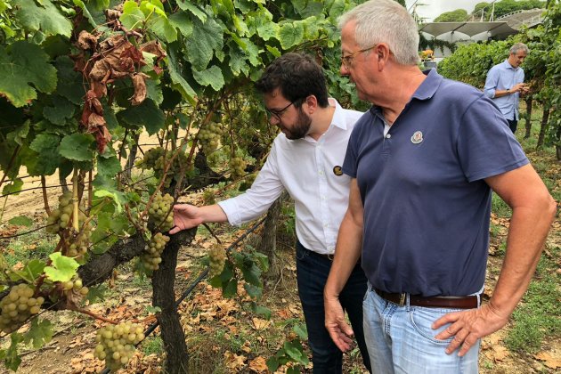Pere Aragonès visita Alella 