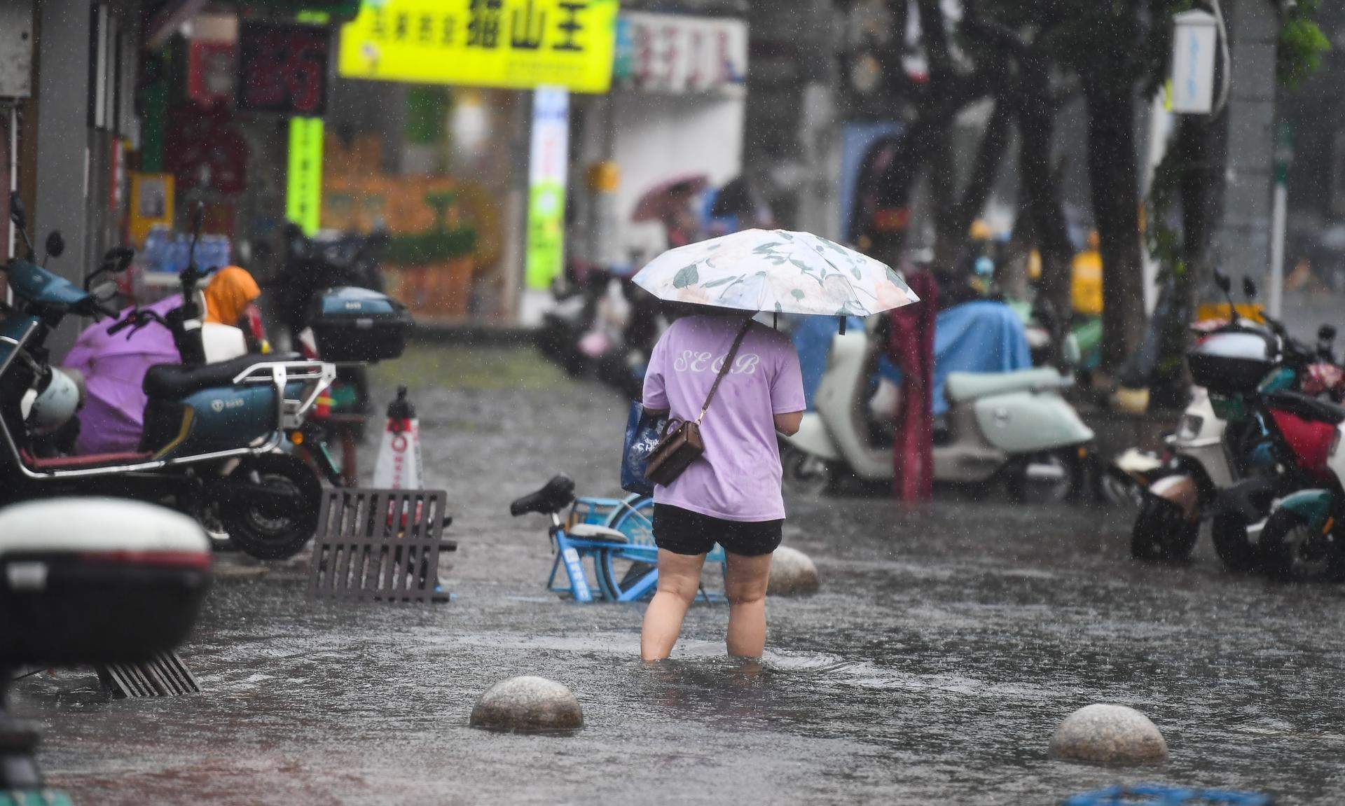 El tifón Wipha golpea China: árboles caídos, personas arrastradas por el viento y vuelos cancelados